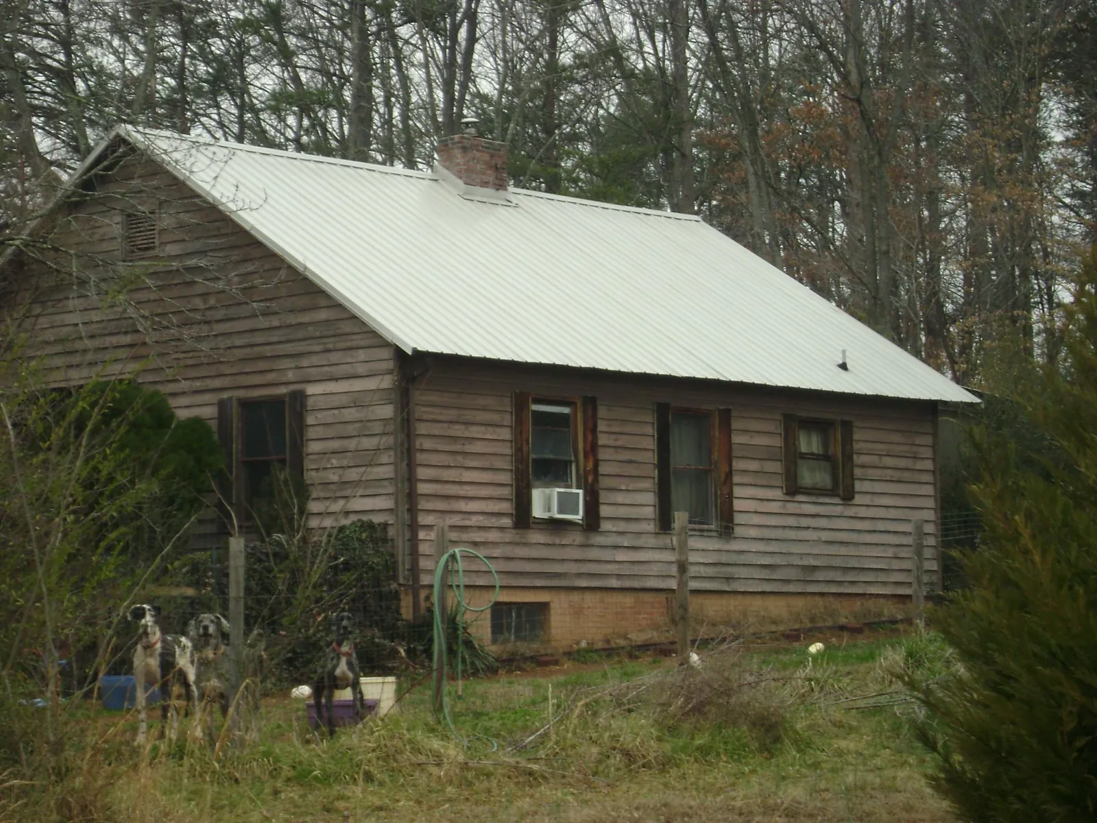 White metal roof on an old wood sided farmhouse, from a Asphalt Shingle Roof Repair job in Thorp